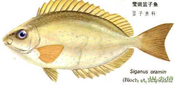 【bsports必一网页版】
微服务 究竟如何举行抽离与解耦?(图4) bsports必一网页版