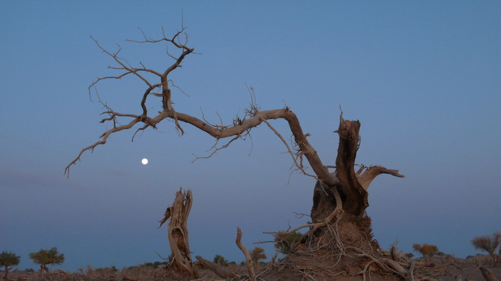 大力简政放权 维护企业权益 推动工业经济提质‘bsports必一网页版’(图3) bsports必一网页版