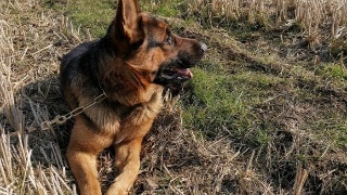 bsports必一网页版