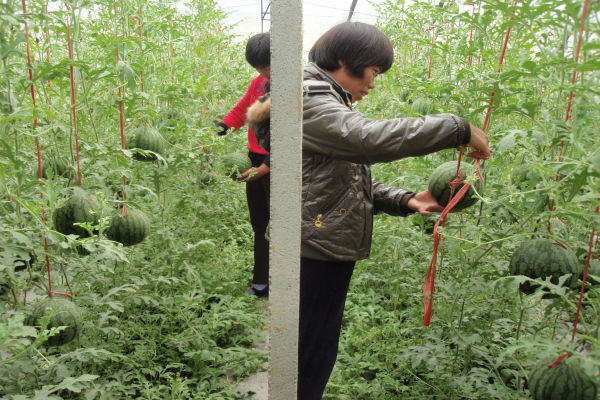 语重心长!王仕鹏寄语周琦:请不要浪费天赋 中国男篮还得靠你!“bsports必一网页版”(图3) bsports必一网页版