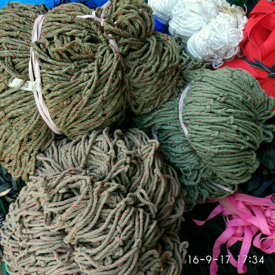 象耳豆根结线虫两个新基因(MeActin和MeHsp70)|bsports必一网页版(图1) bsports必一网页版