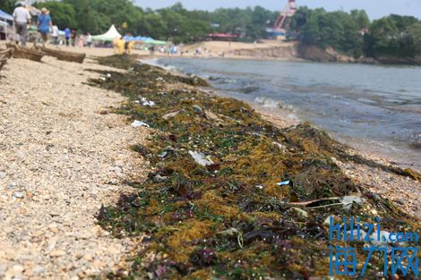 bsports必一网页版