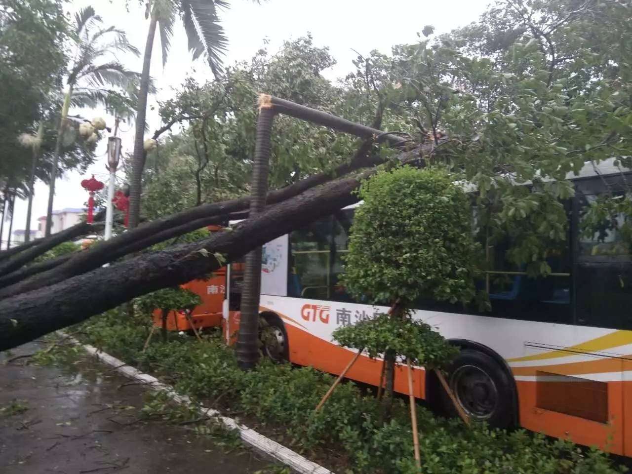 春运火车票开售 12306购票时间提前到天天早5点 | 明晚新城区有新年合唱音乐会【bsports必一网页版】(图2) bsports必一网页版