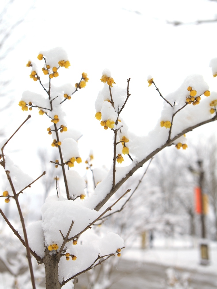 bsports必一网页版