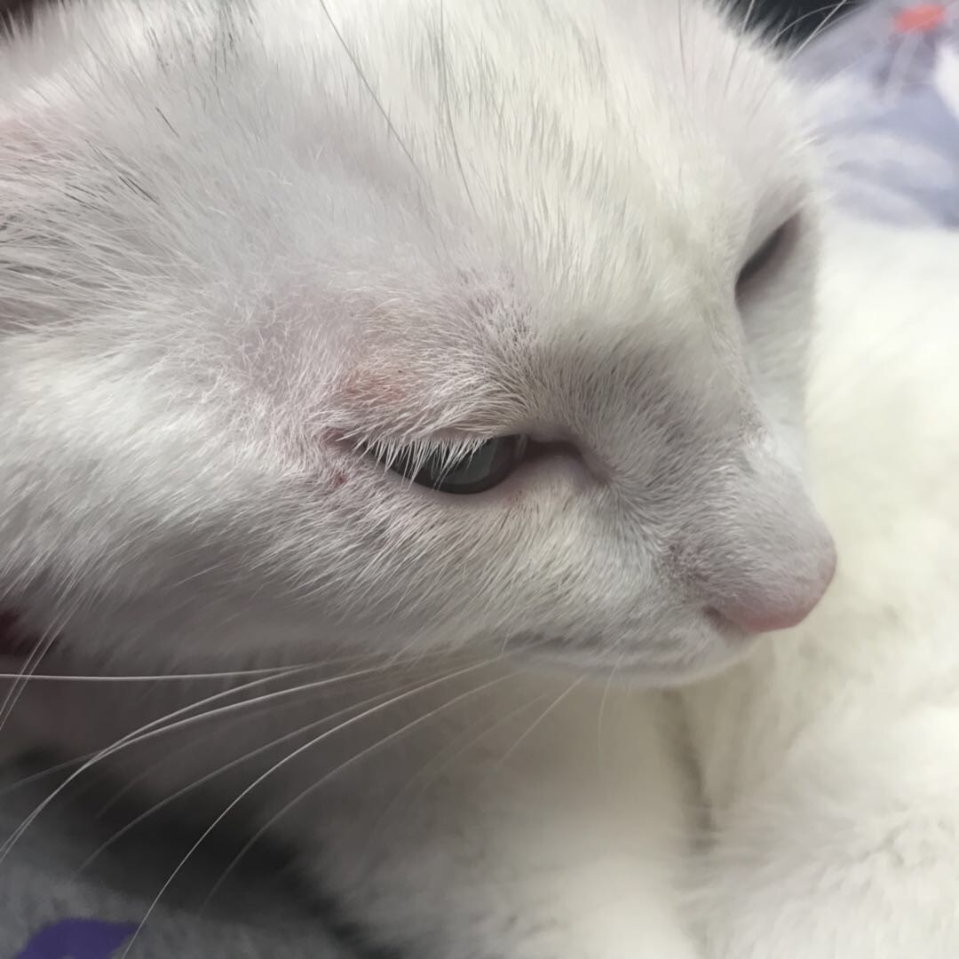 bsports必一网页版