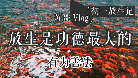 bsports必一网页版