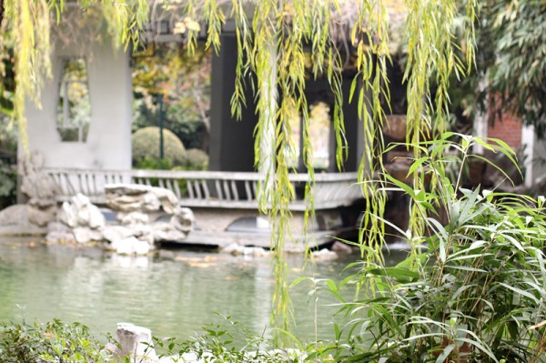 bsports必一网页版