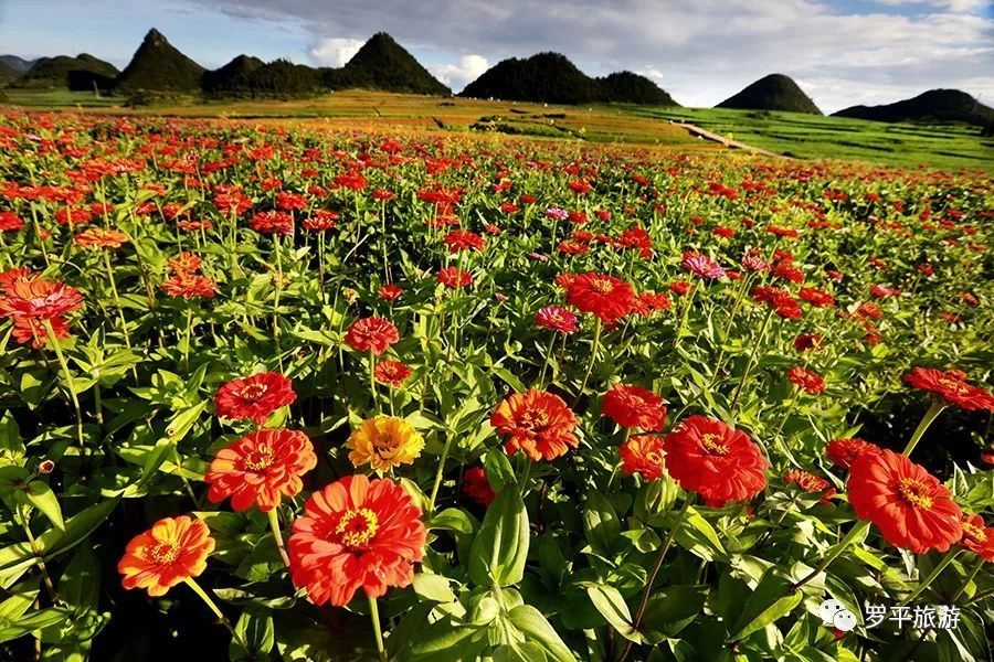 bsports必一网页版