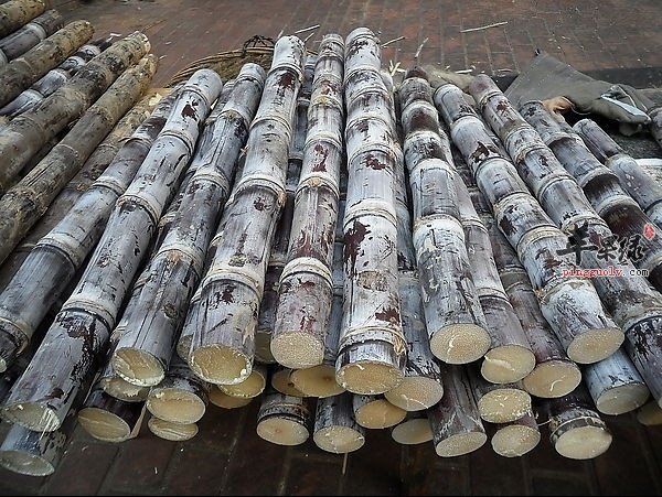 bsports必一网页版