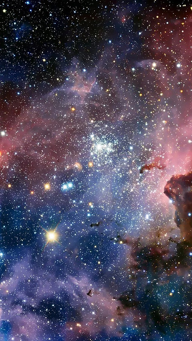 bsports必一网页版