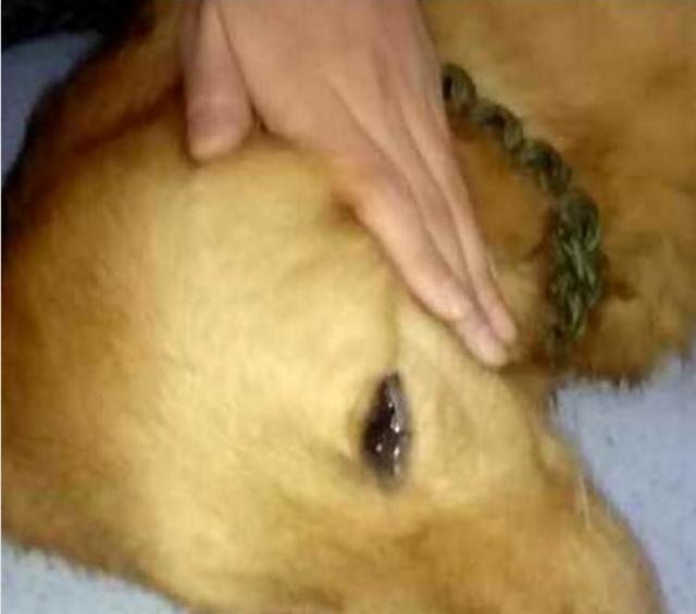 bsports必一网页版