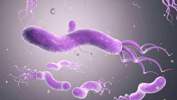 bsports必一网页版