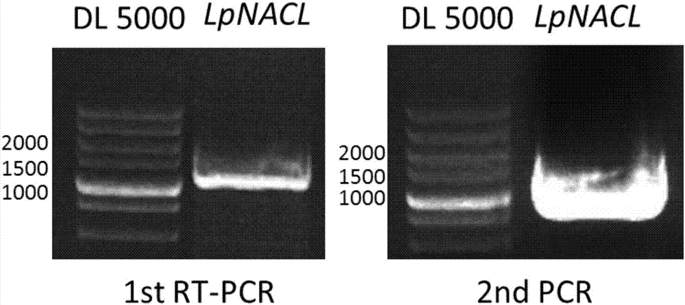 中央环保督察已经覆盖半数省份-bsports必一网页版(图4) bsports必一网页版